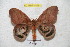  ( - BC-RBP 4418)  @13 [ ] Copyright (2010) Ron Brechlin Unspecified