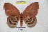  ( - BC-RBP 4419)  @13 [ ] Copyright (2010) Ron Brechlin Unspecified