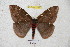 ( - BC-RBP 4431)  @11 [ ] Copyright (2010) Ron Brechlin Unspecified