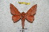 ( - BC-RBP 4508)  @13 [ ] Copyright (2010) Ron Brechlin Unspecified
