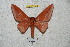  ( - BC-RBP 4515)  @13 [ ] Copyright (2010) Ron Brechlin Unspecified