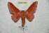  ( - BC-RBP 4516)  @13 [ ] Copyright (2010) Ron Brechlin Unspecified