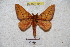  ( - BC-RBP 4543)  @13 [ ] Copyright (2010) Ron Brechlin Unspecified