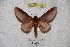  ( - BC-RBP 4558)  @13 [ ] Copyright (2010) Ron Brechlin Unspecified