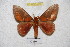  ( - BC-RBP 4563)  @11 [ ] Copyright (2010) Ron Brechlin Unspecified