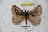  ( - BC-RBP 4585)  @13 [ ] Copyright (2010) Ron Brechlin Unspecified