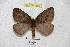  ( - BC-RBP 4586)  @13 [ ] Copyright (2010) Ron Brechlin Unspecified