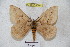  ( - BC-RBP 4596)  @15 [ ] Copyright (2010) Ron Brechlin Unspecified