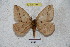  ( - BC-RBP 4597)  @14 [ ] Copyright (2010) Ron Brechlin Unspecified