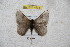 ( - BC-RBP 4603)  @14 [ ] Copyright (2010) Ron Brechlin Unspecified