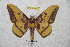  ( - BC-RBP 4604)  @14 [ ] Copyright (2010) Ron Brechlin Unspecified