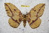  ( - BC-RBP 4609)  @14 [ ] Copyright (2010) Ron Brechlin Unspecified