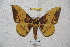  ( - BC-RBP 4611)  @13 [ ] Copyright (2010) Ron Brechlin Unspecified