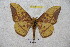  ( - BC-RBP 4615)  @14 [ ] Copyright (2010) Ron Brechlin Unspecified