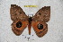  ( - BC-RBP 4633)  @11 [ ] Copyright (2010) Ron Brechlin Unspecified