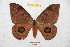  ( - BC-RBP 4640)  @13 [ ] Copyright (2010) Ron Brechlin Unspecified