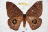  ( - BC-RBP 4641)  @14 [ ] Copyright (2010) Ron Brechlin Unspecified