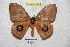  ( - BC-RBP 4643)  @13 [ ] Copyright (2010) Ron Brechlin Unspecified