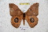  ( - BC-RBP 4644)  @13 [ ] Copyright (2010) Ron Brechlin Unspecified