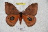  ( - BC-RBP 4651)  @11 [ ] Copyright (2010) Ron Brechlin Unspecified