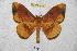  ( - BC-RBP 4656)  @13 [ ] Copyright (2010) Ron Brechlin Unspecified