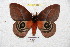  ( - BC-RBP 4683)  @11 [ ] Copyright (2010) Ron Brechlin Unspecified