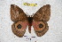  ( - BC-RBP 4685)  @13 [ ] Copyright (2010) Ron Brechlin Unspecified