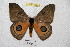 ( - BC-RBP 4689)  @12 [ ] Copyright (2010) Ron Brechlin Unspecified