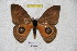  ( - BC-RBP 4691)  @12 [ ] Copyright (2010) Ron Brechlin Unspecified