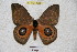  ( - BC-RBP 4692)  @12 [ ] Copyright (2010) Ron Brechlin Unspecified