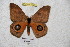  ( - BC-RBP 4693)  @12 [ ] Copyright (2010) Ron Brechlin Unspecified
