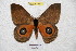  ( - BC-RBP 4694)  @12 [ ] Copyright (2010) Ron Brechlin Unspecified