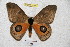  ( - BC-RBP 4695)  @12 [ ] Copyright (2010) Ron Brechlin Unspecified