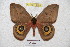  ( - BC-RBP 4709)  @14 [ ] Copyright (2010) Ron Brechlin Unspecified