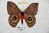  ( - BC-RBP 4710)  @14 [ ] Copyright (2010) Ron Brechlin Unspecified