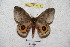  ( - BC-RBP 4711)  @14 [ ] Copyright (2010) Ron Brechlin Unspecified
