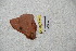  ( - BC-RBP 4767)  @12 [ ] Copyright (2010) Ron Brechlin Research Collection of Ron Brechlin