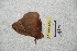  ( - BC-RBP 4769)  @12 [ ] Copyright (2010) Ron Brechlin Research Collection of Ron Brechlin