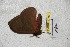  ( - BC-RBP 4776)  @12 [ ] Copyright (2010) Ron Brechlin Research Collection of Ron Brechlin