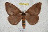  ( - BC-RBP 4927)  @12 [ ] Copyright (2010) Ron Brechlin Research Collection of Ron Brechlin