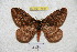  ( - BC-RBP 4931)  @14 [ ] Copyright (2010) Ron Brechlin Research Collection of Ron Brechlin