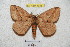  ( - BC-RBP 4936)  @14 [ ] Copyright (2010) Ron Brechlin Research Collection of Ron Brechlin