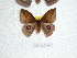  ( - BC-HKT 0012)  @13 [ ] Copyright (2011) Ron Brechlin Research Collection of Ron Brechlin