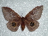 ( - BC-HKT 0098)  @13 [ ] Copyright (2012) Ron Brechlin Research Collection of Ron Brechlin