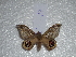  ( - BC-HKT 0117)  @13 [ ] Copyright (2012) Ron Brechlin Research Collection of Ron Brechlin