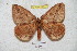  ( - BC-RBP 5971)  @14 [ ] Copyright (2010) Ron Brechlin Research Collection of Ron Brechlin