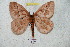  ( - BC-RBP 5972)  @14 [ ] Copyright (2010) Ron Brechlin Research Collection of Ron Brechlin