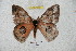  ( - BC-RBP 5987)  @13 [ ] Copyright (2010) Ron Brechlin Research Collection of Ron Brechlin