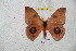  ( - BC-RBP 5988)  @11 [ ] Copyright (2010) Ron Brechlin Research Collection of Ron Brechlin