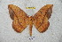  ( - BC-RBP 6000)  @14 [ ] Copyright (2010) Ron Brechlin Research Collection of Ron Brechlin